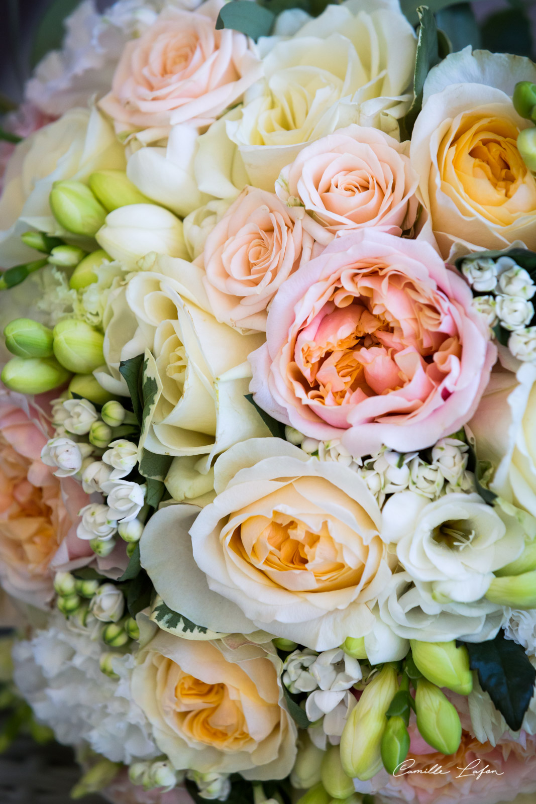 photographe mariage béziers clos maussanne