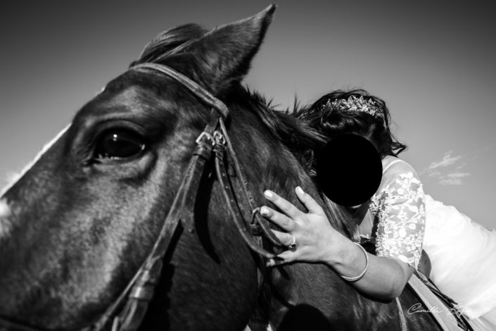 photographe-mariage montpellier cheval domaine biar