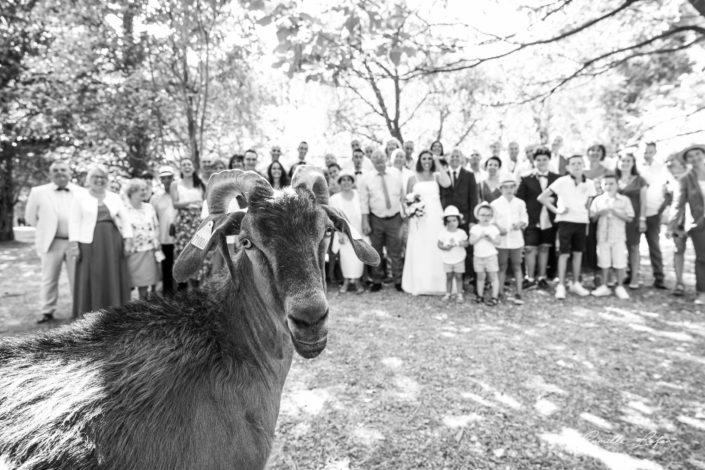 photographe mariage montpellier petit malherbes